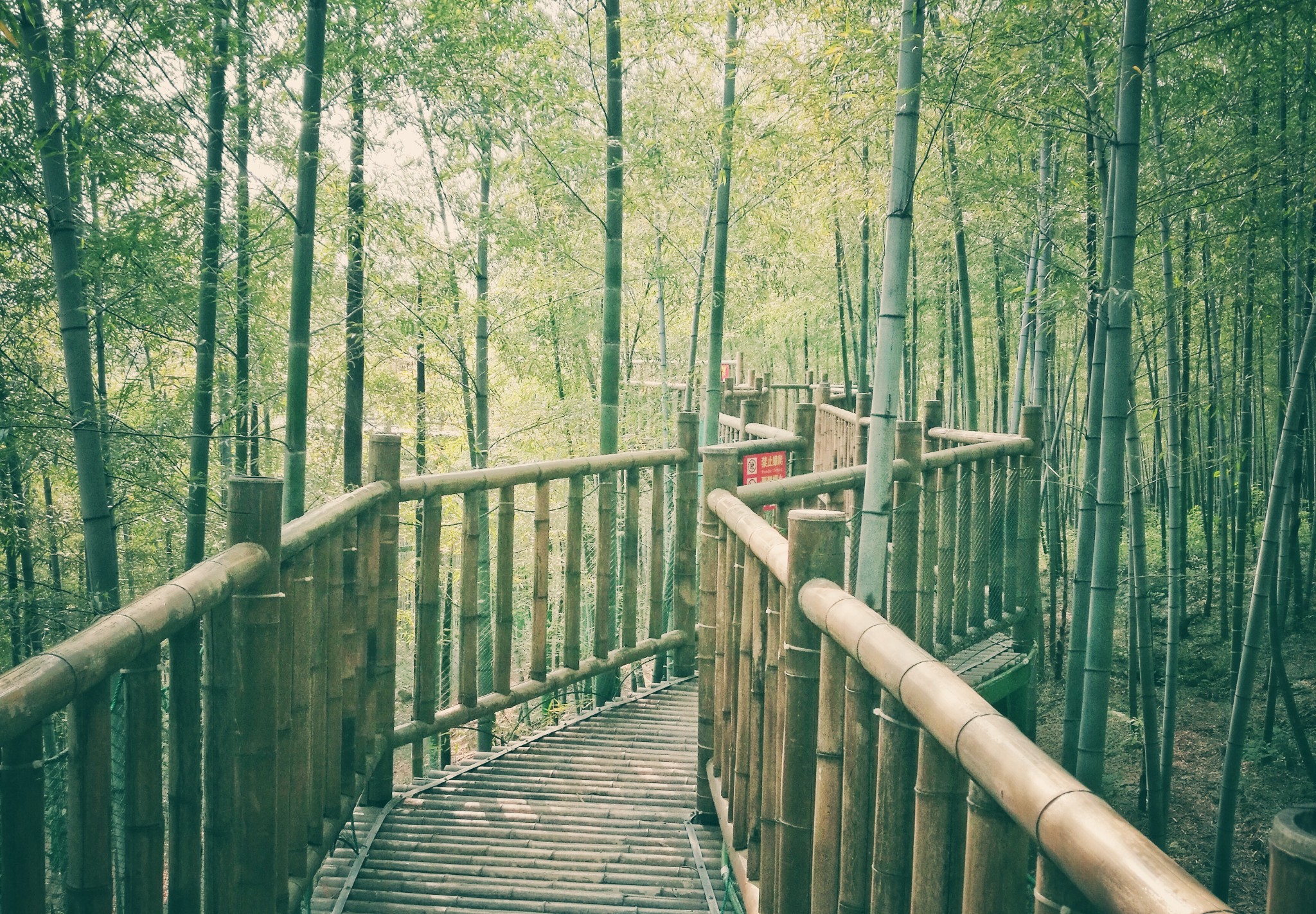 宜兴竹海 来了就不想走的地方